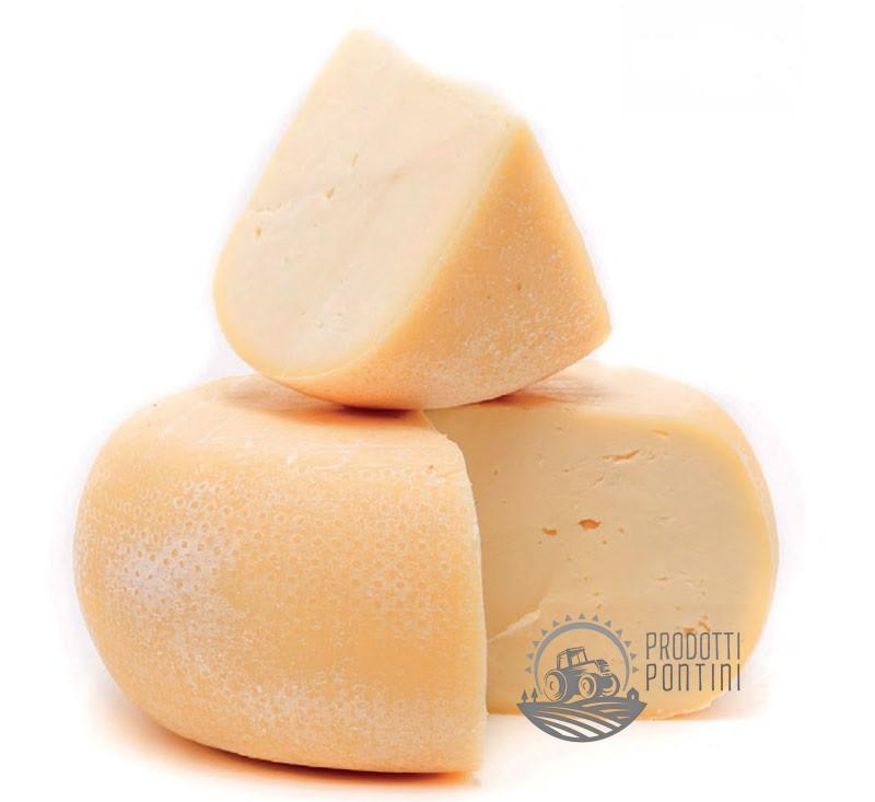 caciotta_stagionata_mucca | Prodotti Pontini