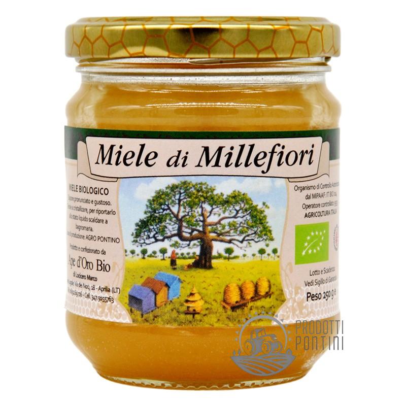 Miele_millefiori_biologico_250g | Prodotti Pontini