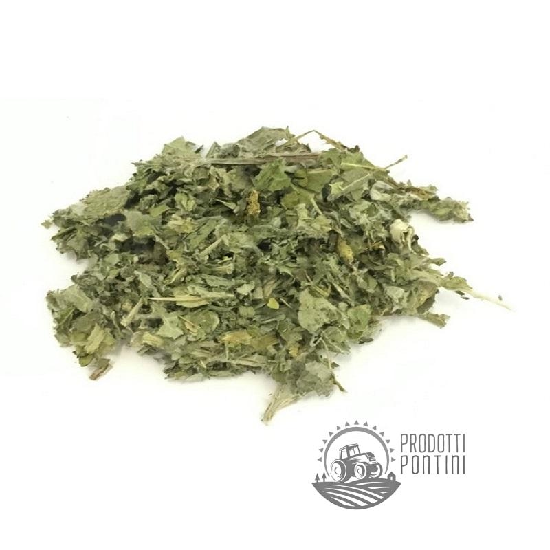 Tisana Carciofo foglie | Prodotti Pontini